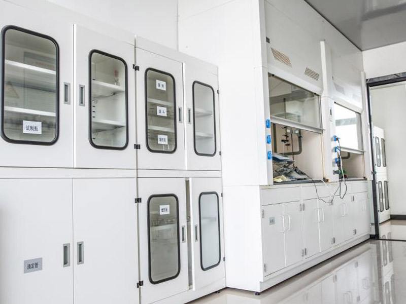 Laboratory Area